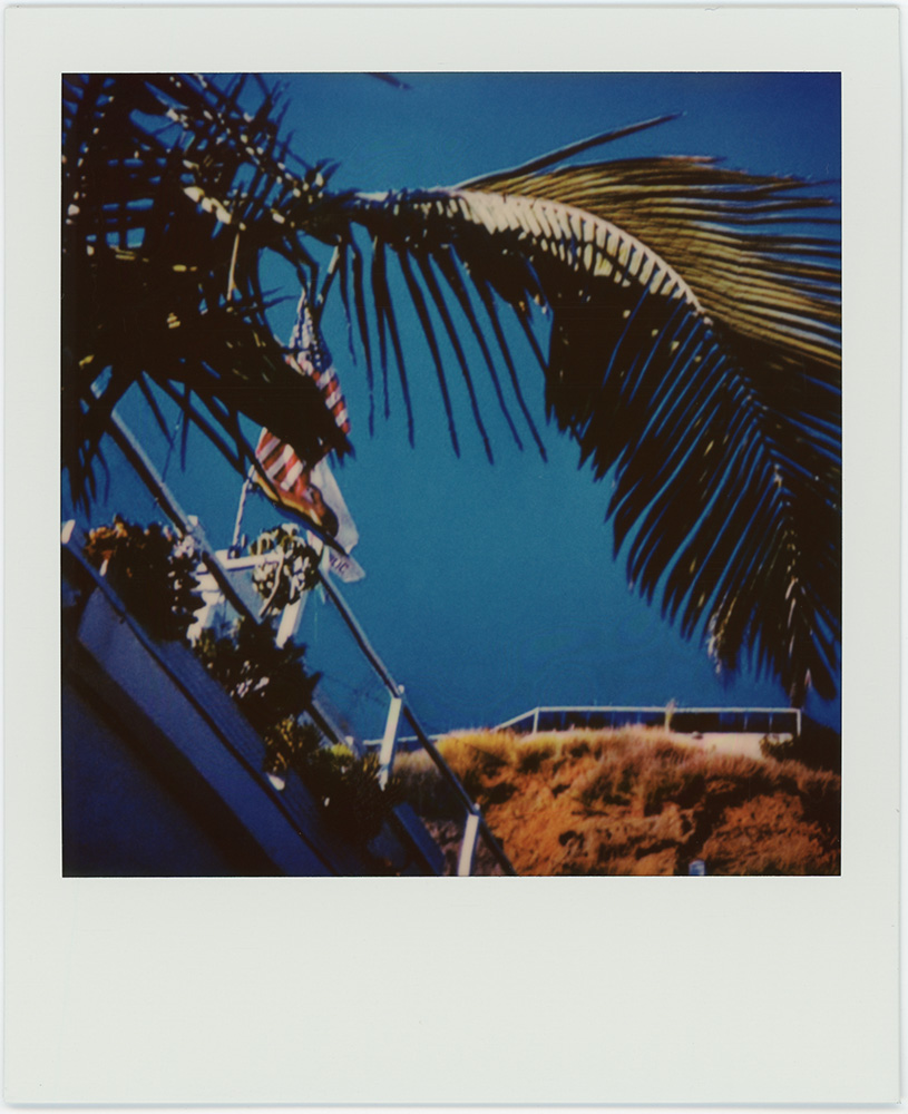 Polaroid 68